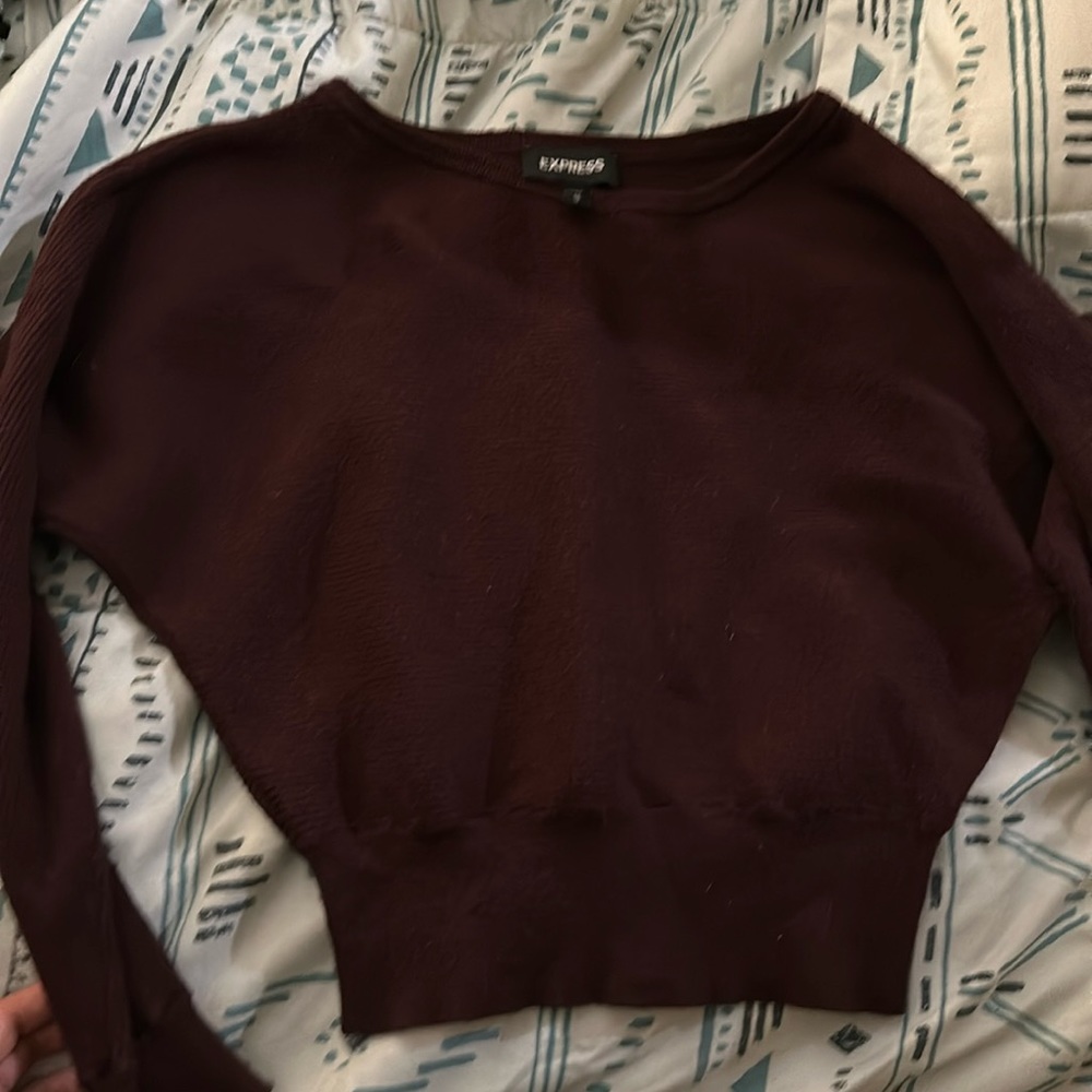 Brick red Express sweater